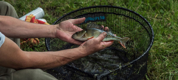 Perch fishing 