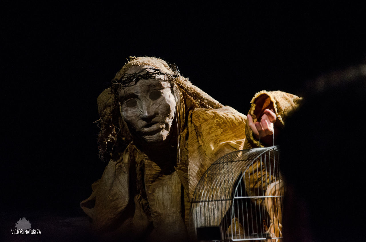 representation, sculpture, art and craft, mammal, no people, night, statue, animal wildlife, creativity, human representation, lion - feline, craft, low angle view, feline, indoors, cat, close-up, black background