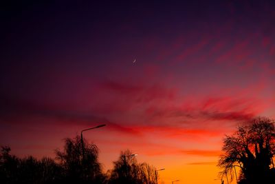 Silhouette of trees at sunset