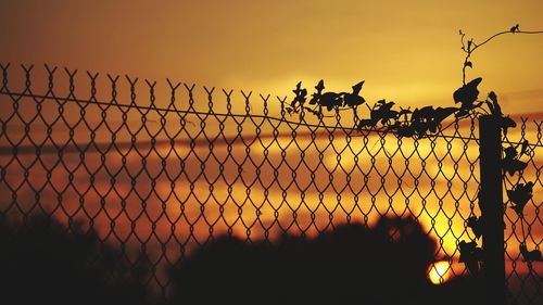 Silhouette birds on chainlink fence against sky during sunset