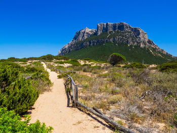 Scenic view of landscape against clear blue sky