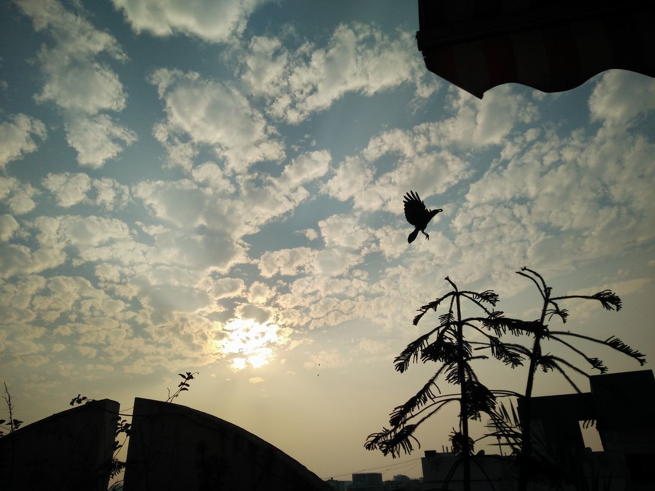 LOW ANGLE VIEW OF SILHOUETTE BIRDS FLYING AGAINST SKY DURING SUNSET