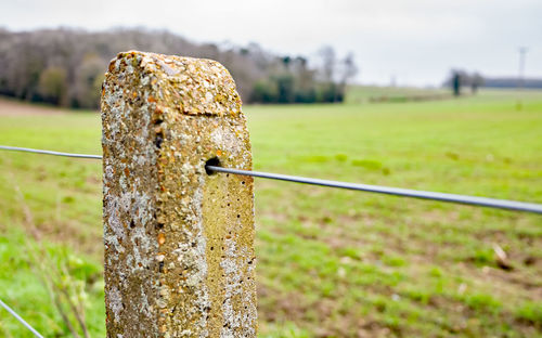 Close-up of rusty metal fence on field