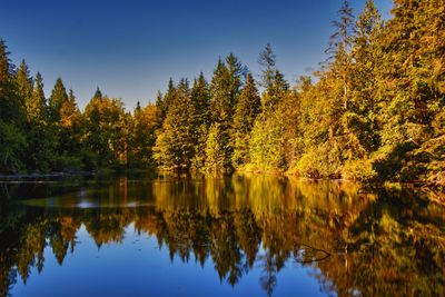 Reflection of trees in lake against sky during autumn