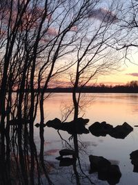 Reflection of bare trees in water
