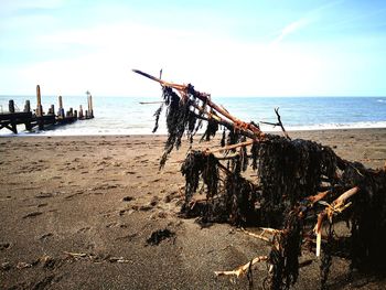 Wooden posts on beach against sky