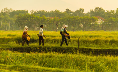 People walking on field