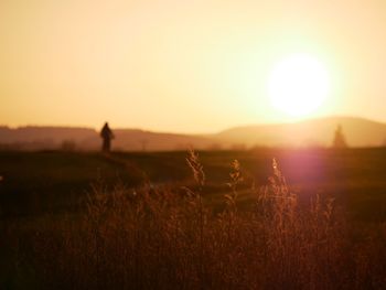 Silhouette person on field against sky during sunset