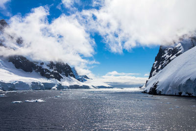 Icebergs in antarctica continent