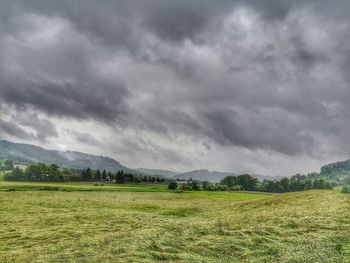 Scenic view of field against sky