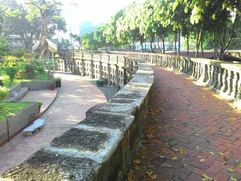 Walkway in park