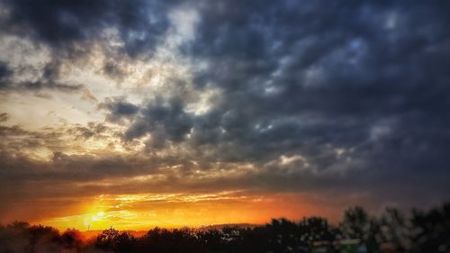 Silhouette trees against dramatic sky during sunset