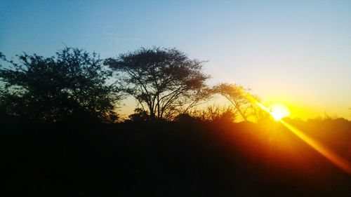 Silhouette trees against sky during sunset