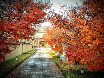 Footpath in autumn