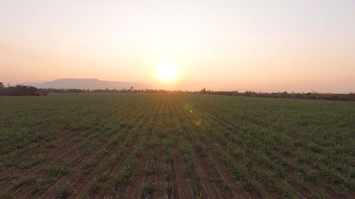 Scenic view of agricultural field against sky during sunset