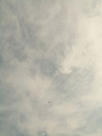 Low angle view of bird flying in sky