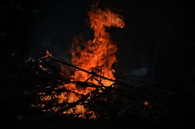 Close-up of bonfire in forest at night