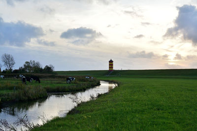 Scenic view of field against sky