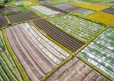 Full frame shot of farm