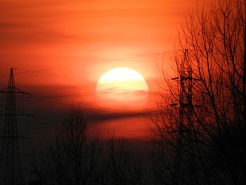 Silhouette trees against orange sky