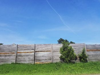 Plants growing on field against sky