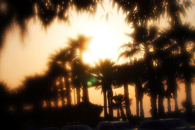 Silhouette of palm trees against sky during sunset