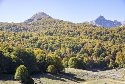 Scenic view of mountains against clear sky