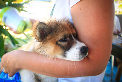 Midsection of woman with dog