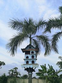 Low angle view of palm tree and blue bird nest against sky