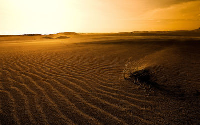 View of sand dunes