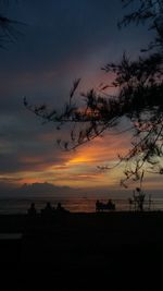 Silhouette trees on beach against sky during sunset