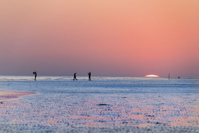 Silhouette people on beach against sky during sunset