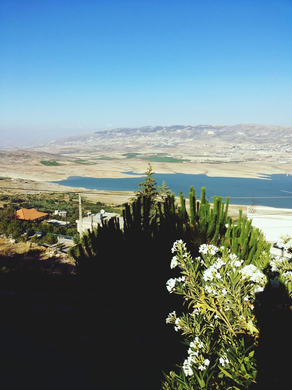 clear sky, water, beauty in nature, tranquil scene, sea, scenics, tranquility, copy space, nature, blue, tree, growth, plant, mountain, horizon over water, idyllic, flower, lake, outdoors, no people