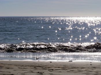 Birds swimming in sea against sky