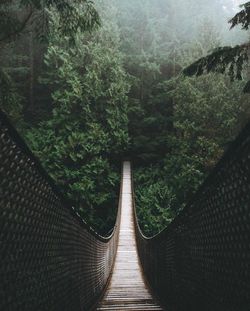 View of footbridge in forest