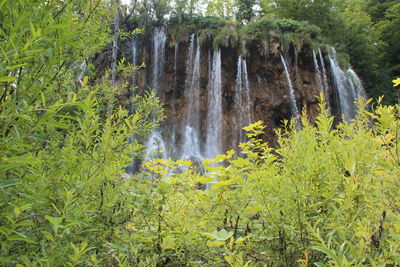 Scenic view of waterfall