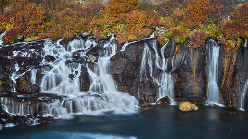 Stunning smooth waterfall background with yellow leaf at hraunfossar, iceland during autumn season 