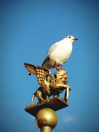 Close-up of bird perching against clear blue sky