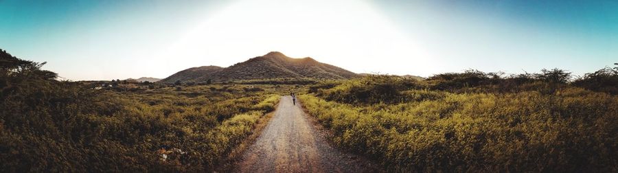 Road amidst plants and land against sky