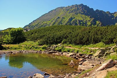 Scenic view of stream against sky