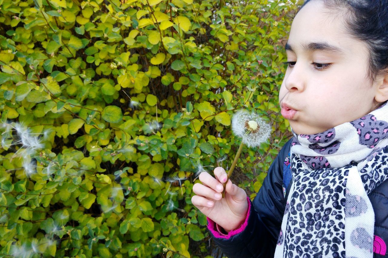 childhood, lifestyles, leisure activity, elementary age, person, holding, innocence, cute, green color, growth, girls, freshness, flower, leaf, casual clothing, plant, boys, nature