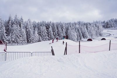 Trees on snow covered landscape against sky