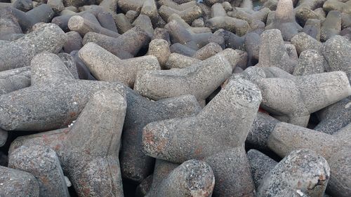 Full frame shot of shells on beach