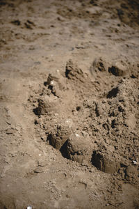 High angle view of footprints on sand