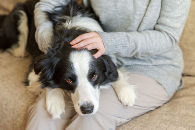 Portrait of dog with woman sitting on sofa