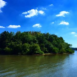 View of calm lake against trees