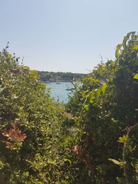 Scenic view of lake against clear sky