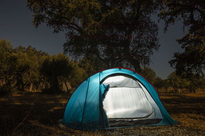People camping in alentejo night