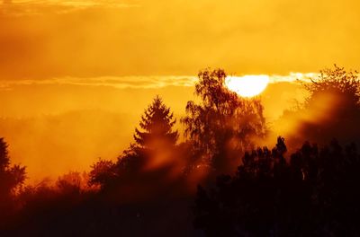 Silhouette trees on field against sky during sunset