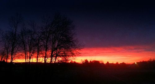 Silhouette of trees at sunset